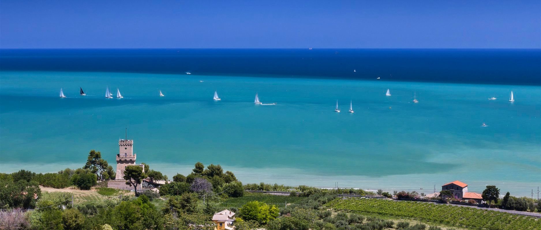 Area Marina Protetta “Torre del Cerrano”